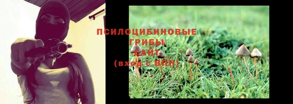 твердый Саяногорск