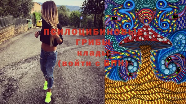 метадон Сатка