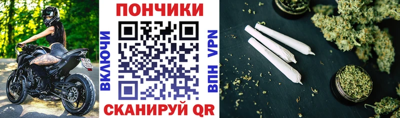 Купить где  Александровск  Марихуана THC 21% 
